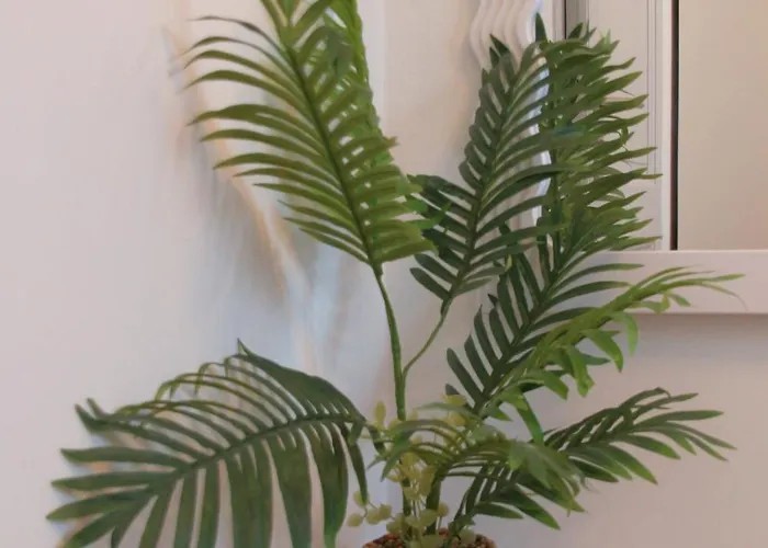 La Miranda * Дижон